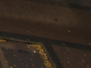 lower right crop