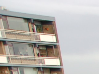 upper left crop